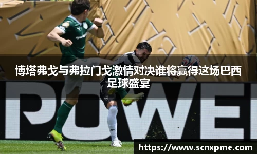 博塔弗戈与弗拉门戈激情对决谁将赢得这场巴西足球盛宴